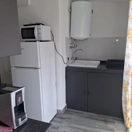 House Beautiful Flower Katánie