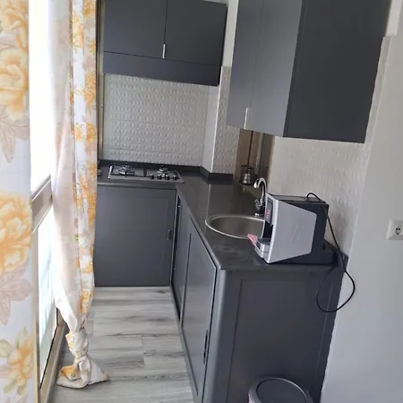 House Beautiful Flower